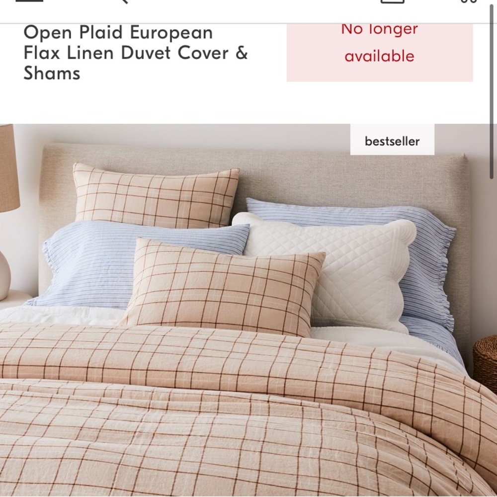 Heather Taylor Home for West Elm, King size Duvet and sheets.